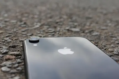 카지노 정글 라자 모바일 앱